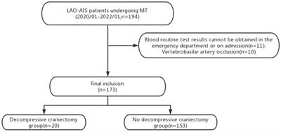 Systemic immune inflammatory index is an independent predictor for the requirement of decompressive craniectomy in large artery occlusion acute ischemic stroke patients after mechanical thrombectomy